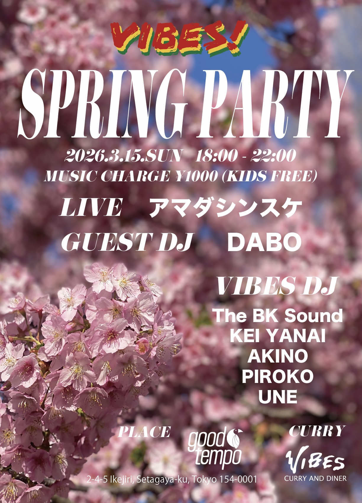 VIBES! SPRING PARTY